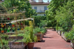 Viennaslide-06641013 Florenz, Urban Gardening Orti Dipinti - Florence, Community Garden Orti Dipinti