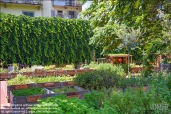 Viennaslide-06641016 Florenz, Urban Gardening Orti Dipinti - Florence, Community Garden Orti Dipinti