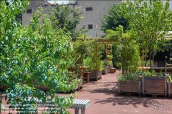 Viennaslide-06641036 Florenz, Urban Gardening Orti Dipinti - Florence, Community Garden Orti Dipinti
