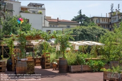 Viennaslide-06641042 Florenz, Urban Gardening Orti Dipinti - Florence, Community Garden Orti Dipinti