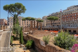 Viennaslide-06720301 Rom, Largo di Torre Argentina // Rome, Largo di Torre Argentina