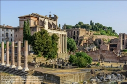 Viennaslide-06721014 Rom, Forum Romanum, Tempel des Antoninus Pius und der Faustina // Rome, Forum Romanum, Tempio di Antonino e Faustina
