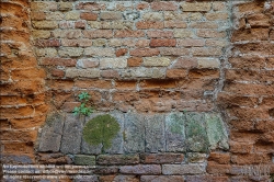 Viennaslide-06801237 Venedig, Ziegelmauer // Venice, Brick Wall