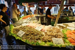 Viennaslide-06802124 Venedig, Rialto Fischmarkt // Venice, Rialto Fish Market