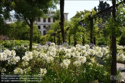 Viennaslide-06821906 Venedig, Giardini Reali (Königlicher Garten) // Venice, Royal Garden (Napoleon's Gardens)