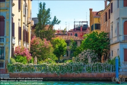 Viennaslide-06822120 Venedig, Garten am Canal Grande - Venice, Garden at Canal Grande