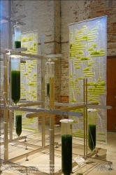 Viennaslide-06872178 EcoLogicStudio has designed the Bit.Bio.Bot exhibition at the Venice Architecture Biennale, which invites visitors to taste freshly harvested algae and consider growing it in their own homes.Combining architecture and microbiology, the exhibition shows how city dwellers could purify the air, sequester carbon, gain a sustainable food source and enjoy a greater connection to nature by cultivating their own algae.
