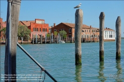 Viennaslide-06881126 Murano, venetisch Muran, ist eine Inselgruppe nordöstlich der Altstadt von Venedig in der Lagune von Venedig. Sie ist bekannt für ihre Glaskunst, lebt aber auch vom Tourismus und – in wesentlich geringerem Umfang – vom Fischfang.