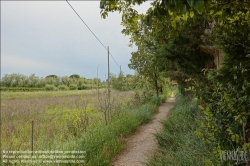 Viennaslide-06884110 Insel Torcello bei Venedig // Torcello Island near Venice