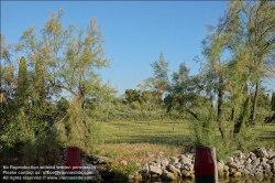 Viennaslide-06884159 Torcello ist eine Insel in der laguna morta, dem nördlichen Teil der Lagune von Venedig, in dem die Gezeiten nicht mehr bemerkbar sind. Torcello war von 638 bis 689 Sitz des Bischofs von Altinum und gewann schnell an Bedeutung als Zentrum von Politik und Handel. Zwar besteht heute nur noch eine Kirche, nämlich die Kathedrale, aber im Frühmittelalter entstanden darüber hinaus das Benediktinerkloster San Giovanni Evangelista, sowie die Kirche Sant’Andrea (Apostolo) di Torcello. Beide werden nur im Chronicon Altinate erwähnt.