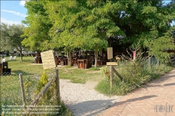 Viennaslide-06884163 Torcello ist eine Insel in der laguna morta, dem nördlichen Teil der Lagune von Venedig, in dem die Gezeiten nicht mehr bemerkbar sind. Torcello war von 638 bis 689 Sitz des Bischofs von Altinum und gewann schnell an Bedeutung als Zentrum von Politik und Handel. Zwar besteht heute nur noch eine Kirche, nämlich die Kathedrale, aber im Frühmittelalter entstanden darüber hinaus das Benediktinerkloster San Giovanni Evangelista, sowie die Kirche Sant’Andrea (Apostolo) di Torcello. Beide werden nur im Chronicon Altinate erwähnt.