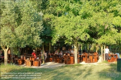 Viennaslide-06884170 Torcello ist eine Insel in der laguna morta, dem nördlichen Teil der Lagune von Venedig, in dem die Gezeiten nicht mehr bemerkbar sind. Torcello war von 638 bis 689 Sitz des Bischofs von Altinum und gewann schnell an Bedeutung als Zentrum von Politik und Handel. Zwar besteht heute nur noch eine Kirche, nämlich die Kathedrale, aber im Frühmittelalter entstanden darüber hinaus das Benediktinerkloster San Giovanni Evangelista, sowie die Kirche Sant’Andrea (Apostolo) di Torcello. Beide werden nur im Chronicon Altinate erwähnt.