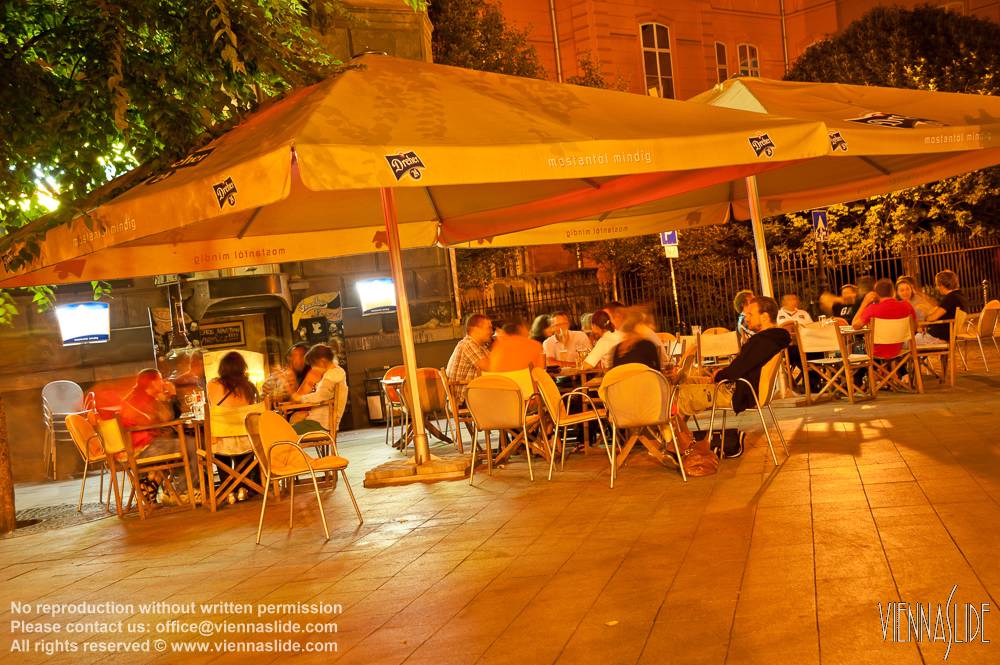Viennaslide 07310146 jpg