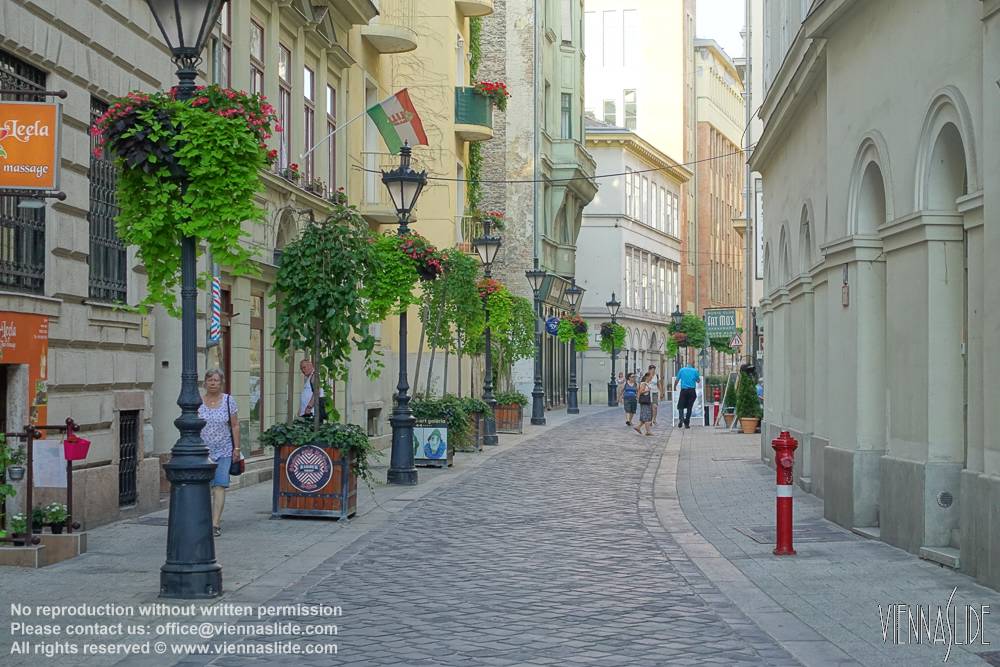 Viennaslide 07310158 jpg