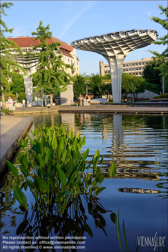 Viennaslide 07338120 jpg