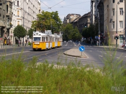 Viennaslide-07319915 Budapest, Straßenbahn, Moricz Zs. Körter, Type UV - Budapest, Moricz Zs. Körter, Tramway Type UV