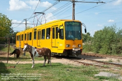 Viennaslide-07319922 Budapest, Péterhegy, Straßenbahn - Budapest, Péterhegy, Tramway