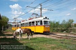 Viennaslide-07319926 Budapest, Péterhegy, Straßenbahn, Type UV - Budapest, Péterhegy, Tramway Type UV