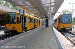 Viennaslide-07319953 Budapest, Mexicoi ut, Straßenbahn - Budapest, Mexicoi ut, Tramway