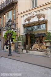 Viennaslide-07320129 Budapest, Blumengeschäft Philantia, Albert Kálmán Körössy 1906 // Budapest, Philantia Flowershop, Albert Kálmán Körössy 1906 