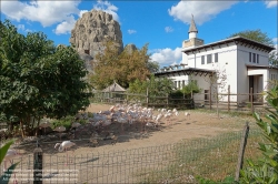 Viennaslide-07337352 Budapest, Stadtwäldchen Varosliget, Zoo // Budapest, Varosliget, Zoo 