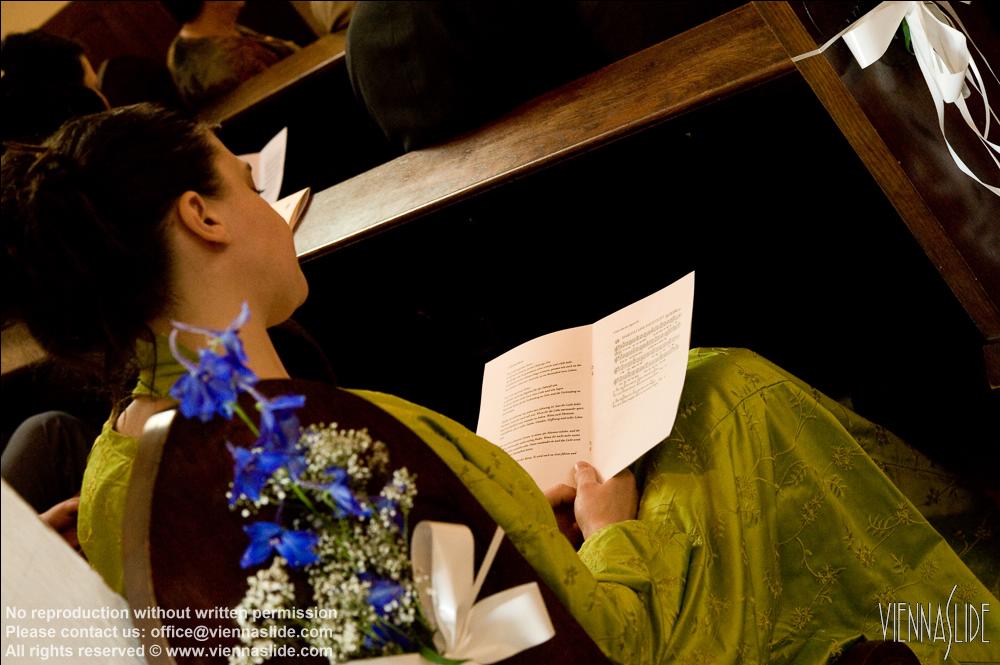 Viennaslide 63410177 jpg