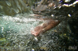 Viennaslide-67411752 Mädchen im Wasser, Kneippkur - Girl in River, Kneipp Therapy