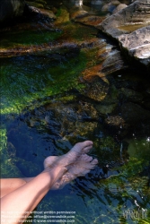 Viennaslide-67411776 Die Beine einer Frau im Wasser - Women's feet in fresh water