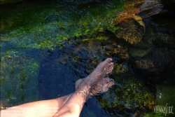 Viennaslide-67411777 Die Beine einer Frau im Wasser - Women's feet in fresh water