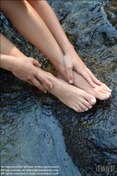 Viennaslide-67411778 Die Beine einer Frau im Wasser - Women's feet in fresh water