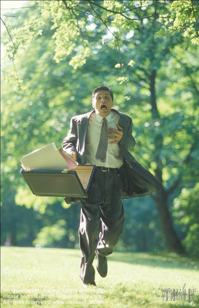 Viennaslide 71081104 jpg