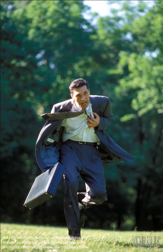 Viennaslide 71081109 jpg