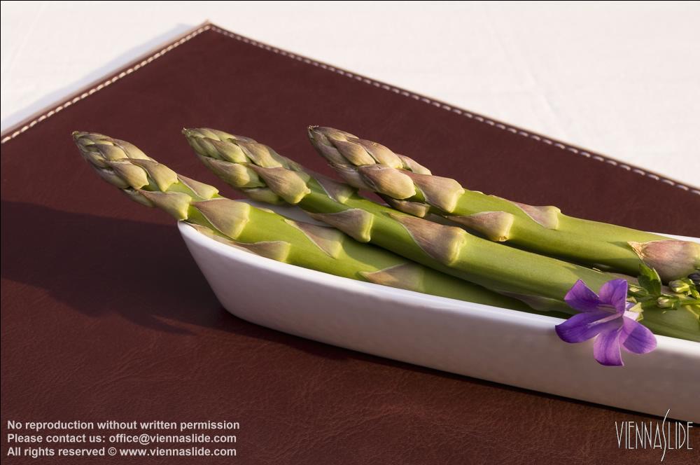 Viennaslide 72000078 jpg