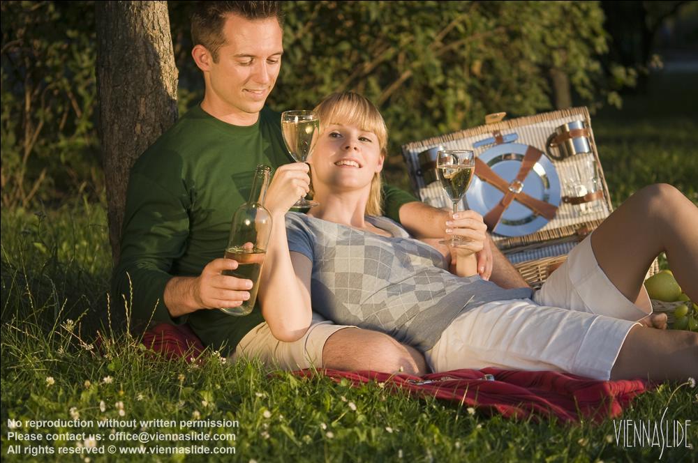 Viennaslide 72000217 jpg