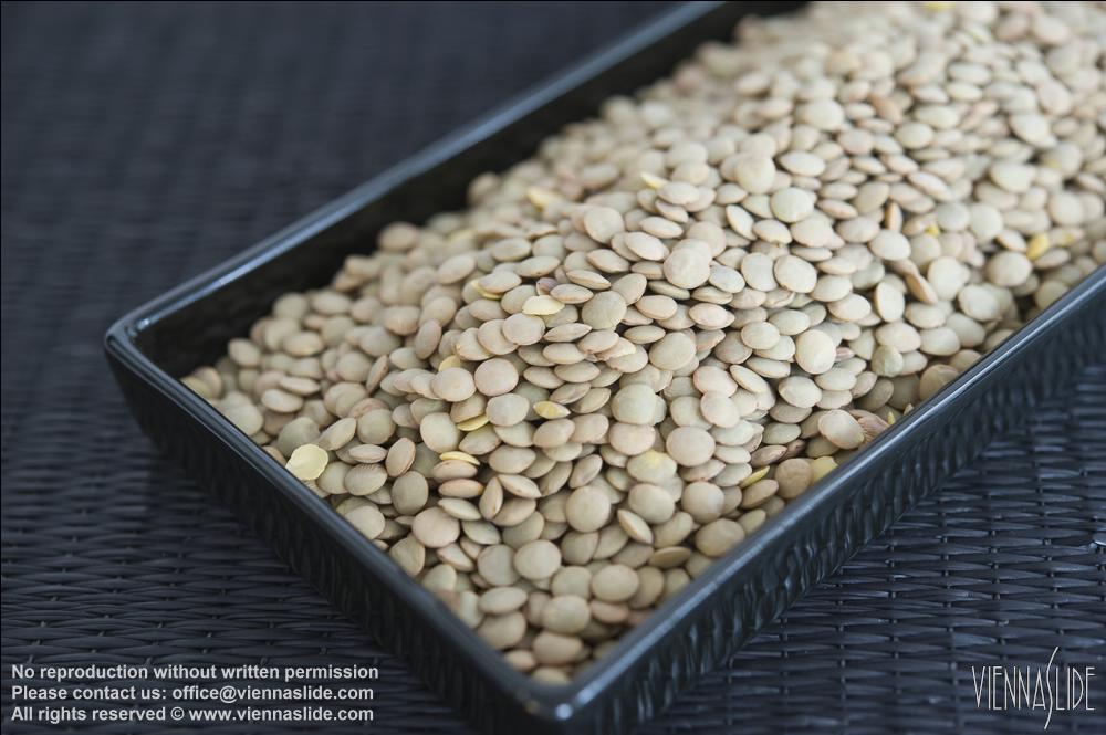 Viennaslide 72000524 jpg