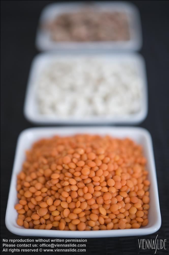 Viennaslide 72000531 jpg