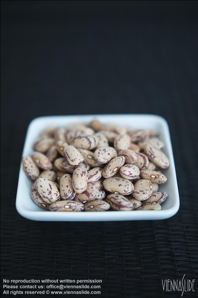 Viennaslide 72000532 jpg