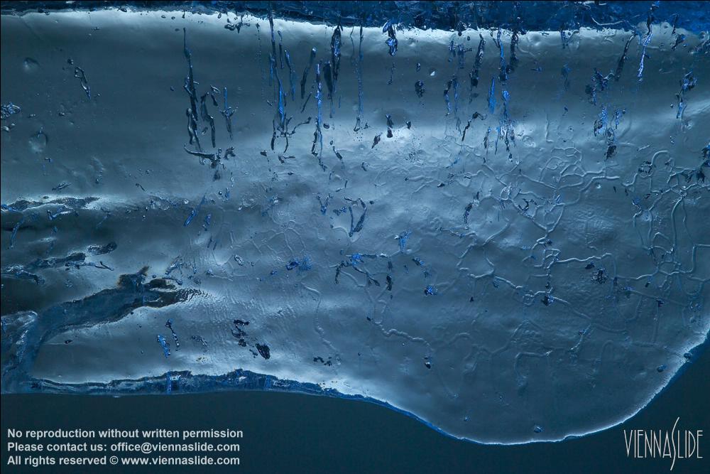 Viennaslide 76051129 jpg