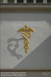 Viennaslide-70000002 Symbol Medizin Äskulapstab // Symbol Medicine Aeskulap