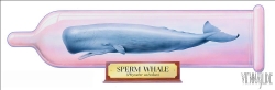 Viennaslide-71010117 Präservativ - Sperm Whale