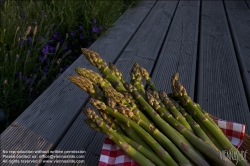 Viennaslide-72000082 Spargel - Asparagus