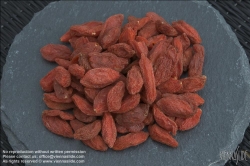 Viennaslide-72000135 Gojibeeren - Chinese Boxthorn Fruit