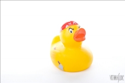 Viennaslide-76191503 Badeente, Pirat - Rubber Duck, Pirate