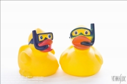 Viennaslide-76191509 Badeente, Taucher - Rubber Duck, Diver