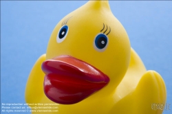 Viennaslide-76191513 Badeente - Rubber Duck