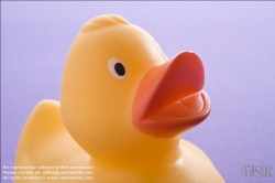 Viennaslide-76191515 Badeente - Rubber Duck