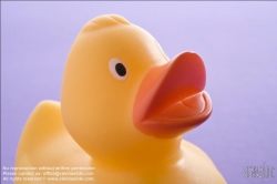 Viennaslide-76191515 Badeente - Rubber Duck