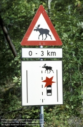 Viennaslide-77020104 Autoverkehr, Verkehrszeichen, Elche - Traffic Sign Elks