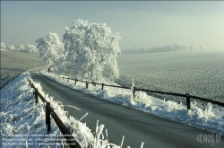 Viennaslide-77110180 Straße in Schneelandschaft - Street in Winter Landscape