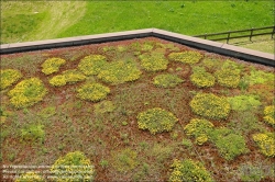 Viennaslide-78010148 Architekturdetail extensive Dachbegrünung // Architectural detail: extensive green roof